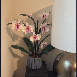 Orchid Flower Arrangement in Gray Pot